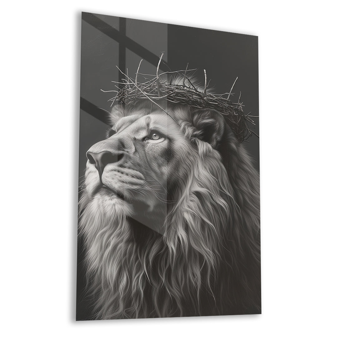 cod - 302 - CAM TABLO