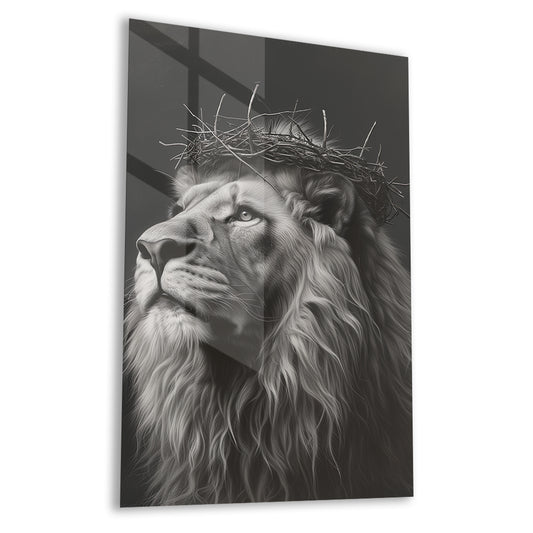 cod - 302 - CAM TABLO