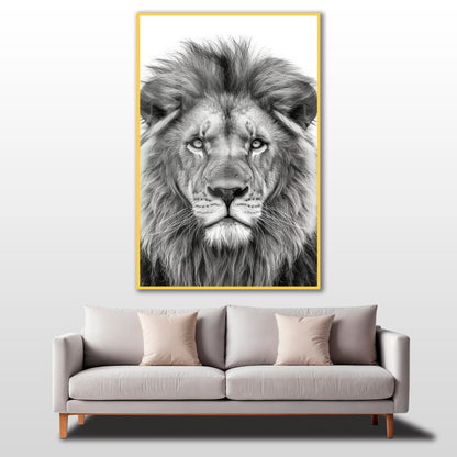 cod - 303 - CAM TABLO