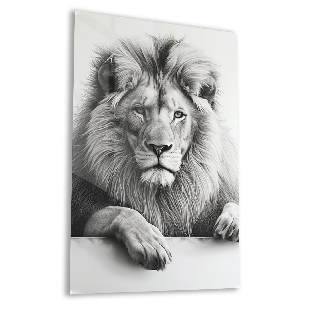 cod - 305 - CAM TABLO